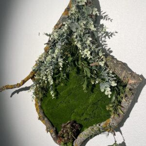 Cuadros ADRISER - Salvaje