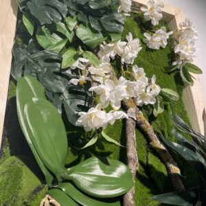 Cuadros ADRISER - Temporada